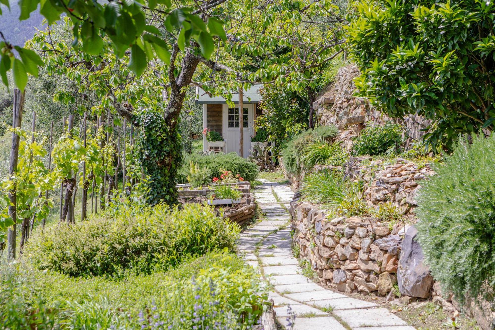 Villa Sii Felice Buti 外观 照片