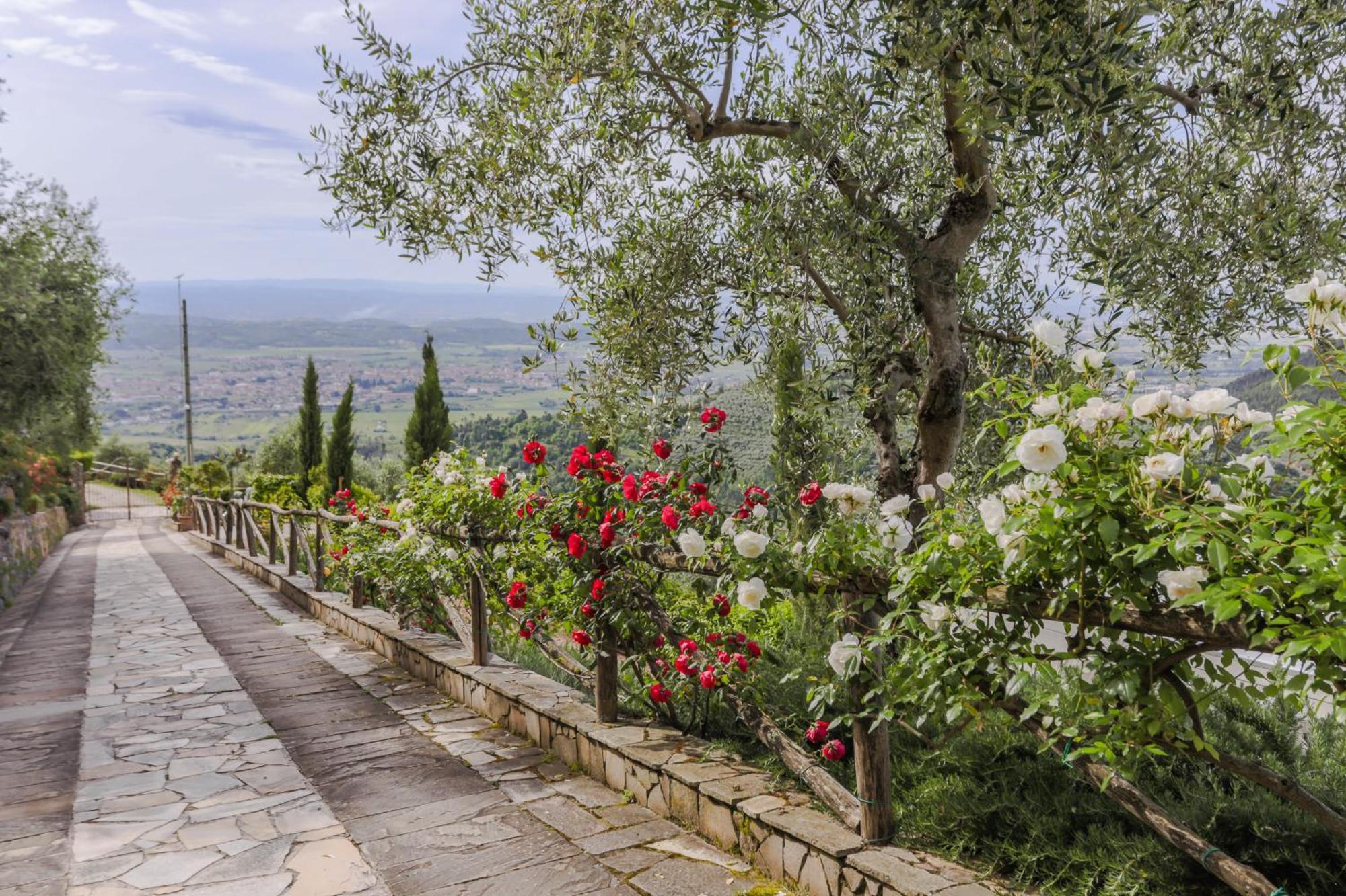 Villa Sii Felice Buti 外观 照片