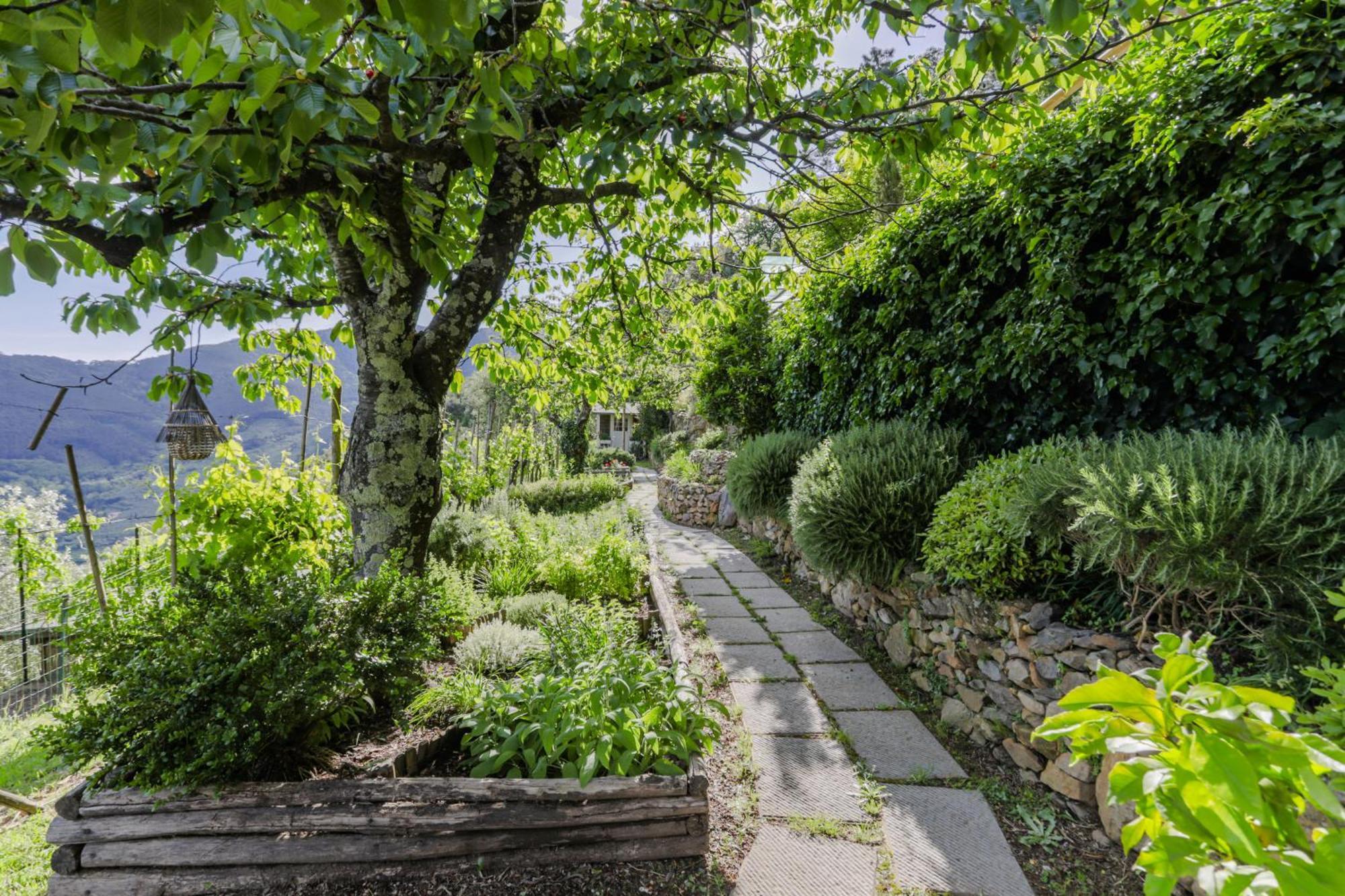 Villa Sii Felice Buti 外观 照片